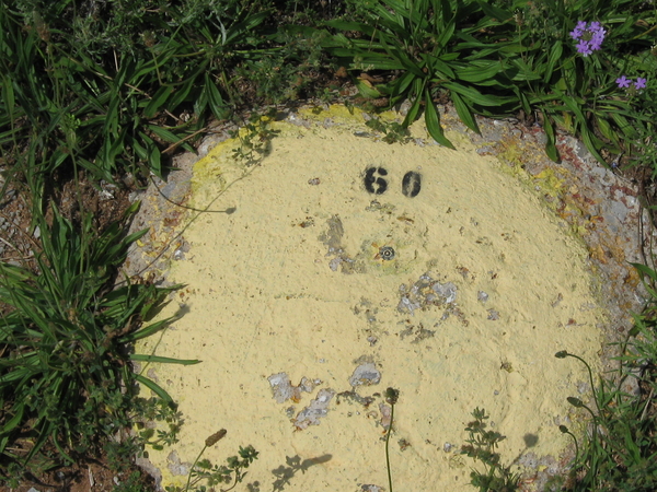 M2 Aiming Circle - Surveyed stake
You set up the tripod, hung the plumb-bob & centered it, levelled your bubbles, and computed your SADULU.  It is going to be paved over as a parking lot.  Just another Ft Sill memory.
