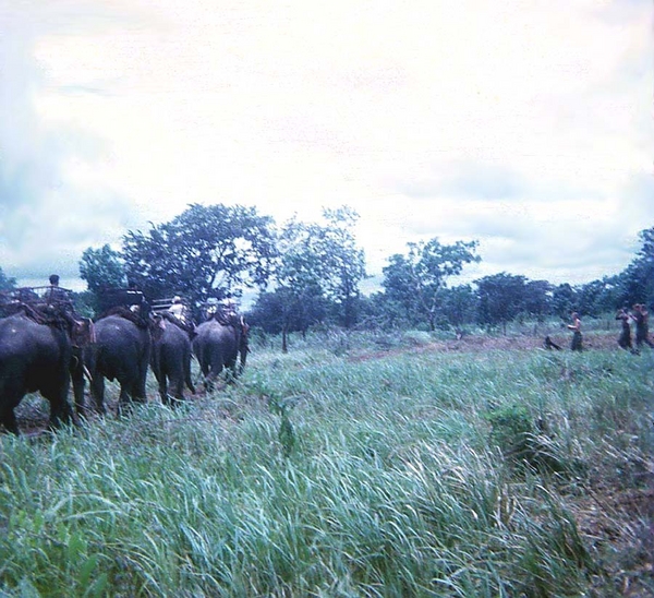 March of the Elephants
Once again, elephants are captured as part of the Vietnam lore.
