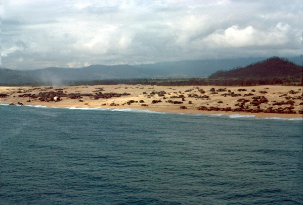 The Ammo Dump
Site of the infamous fire in July, 1967...The Ammo Dump.
