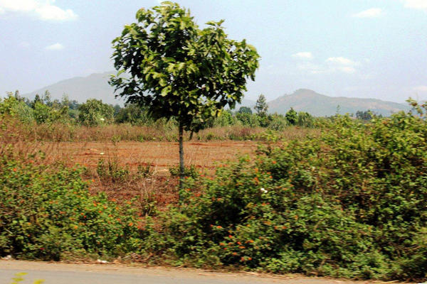 Then & Now: the search for Base Camp
Unfortunately, when we got there, we found it was a restricted area (we couldn't even stop for pictures), so the attached picture is the best I could come with.  Oh, how I would have liked to have been able to walk around that hill once more.
