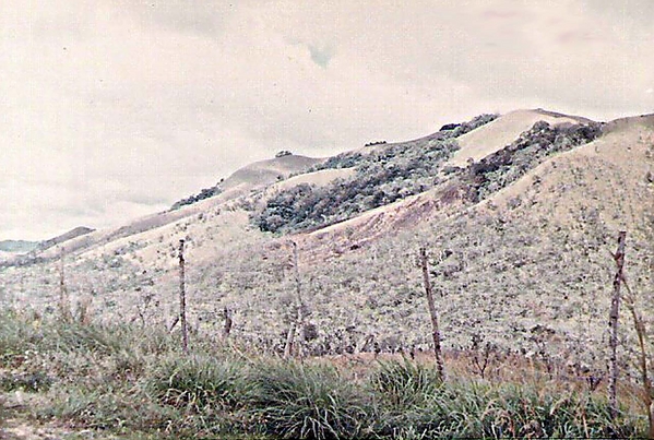 View from inside
Photo taken from inside the ARVN compound.  Note the heavily fortified fence.   February, 1967.
