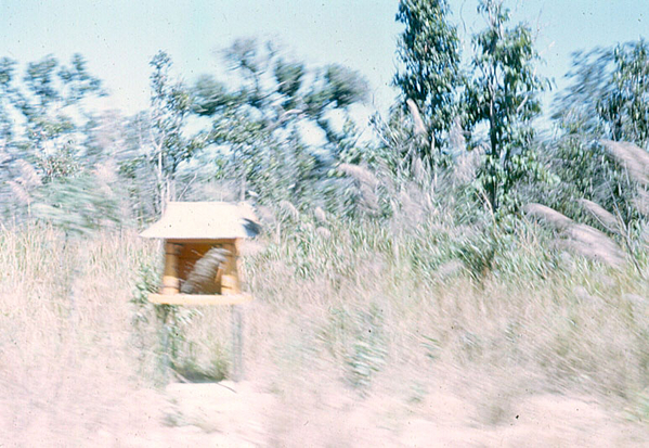 Chapel
Throughout the roadsides of Vietnam's highways, one could always find mini-temples for prayer.  This photo taken from a speeding convoy.
