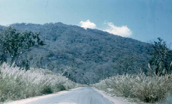 "The Pass"
Going thru the Mang Yang Pass on Highway 19.  Looks like the road was designed for ambushes.
