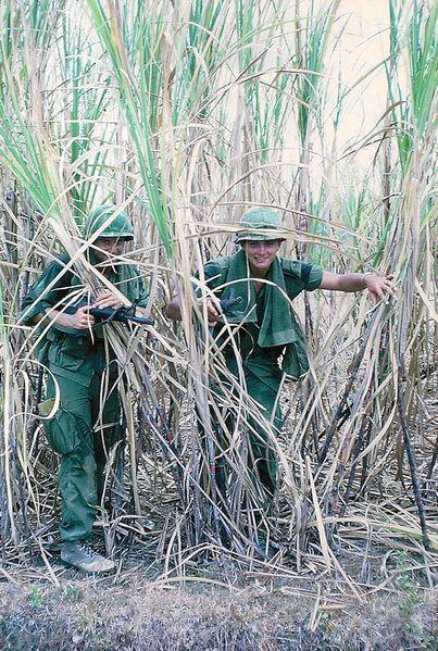 Among all the other obstacles and perils in the combat zone, amazingly high grass was "way up there".  Lts Don Keith and Randy Shaffer {KIA} demonstrate.
