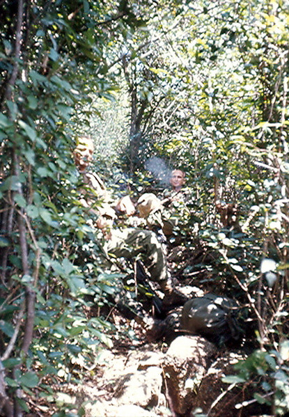 This is an excellent example of a triple canopy jungle.  Navigating the jungle was one challenge; suddenly finding the enemy was another.
