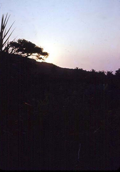 sunrise2.jpg