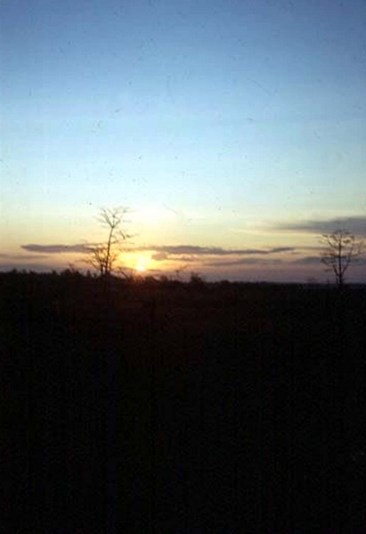 sunrise4.JPG