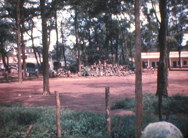 Sights & Scenes
Passing by firewood storage
