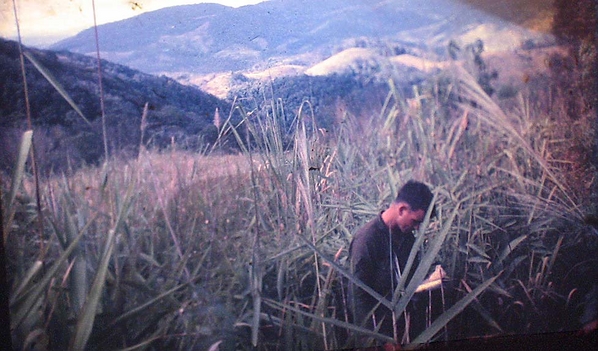 Peace in the valley
Reading a book in a grassy valley
