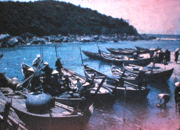 Sights & Scenes
Vietnamese fishing boats.
