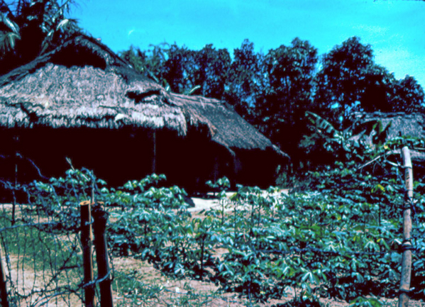 Duc Pho village
Typical village hut in Duc Pho.  Note the thatched roof.
