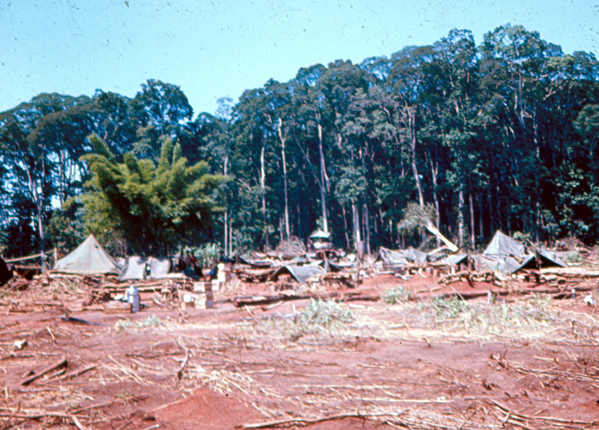 Cambodian border
Bravo Company, 2nd Bn, 35th Inf Regiment. Cacti Blue.  This LZ is located about 4 klicks from the Cambodian border.
