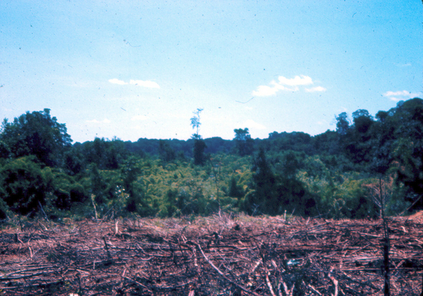 Cambodian border
A view towards the Cambodian border from the LZ location of B-2-35 where I was the brand new FO, otherwise known as "FNG".
