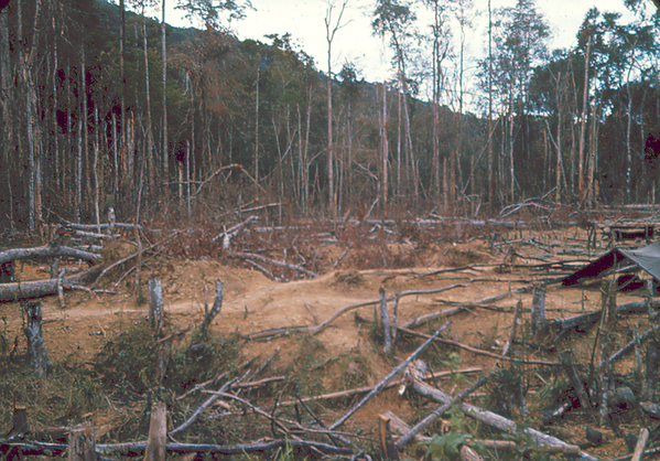 LZ 503A
LZ 503A in Kontum Province near Cambodia.
