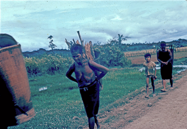 The Montagnards
The locals do their hauling...the old way.
