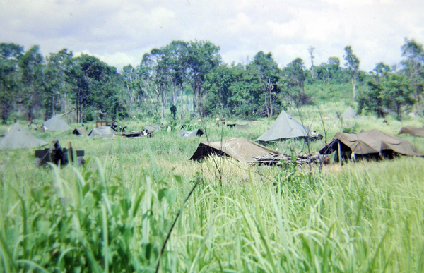 Elephant Grass
The elephant grass made fields of fire difficult.
