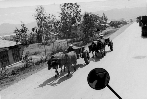 Old and new
A military convoy passes animal-drawn carts; a collision of cultures.
