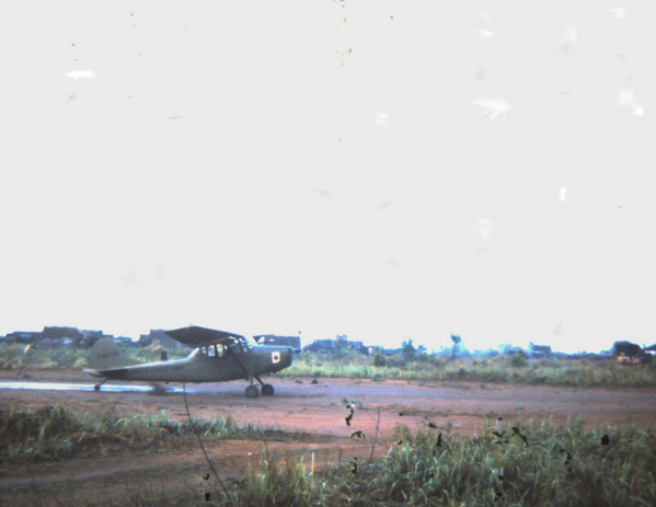 Bird Dog
Bird Dog, near Tea Plantation, 1966.
