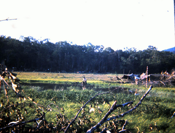 What you do in a wet LZ
SSG Jesus M. Camacho decides to go fishing.  Look closely in center of photo.
