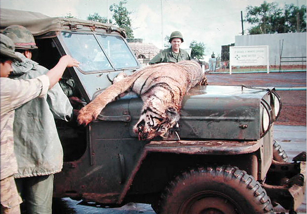 Tiger Hunt
Big game hunting.  Tigers were a problem for the villagers and for the Oasis in 1969.
