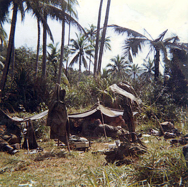 Jungle Subdivision?
We stayed at the Palm Grove for a few days.
