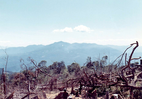 January, 1969
Looking around the LZ.
