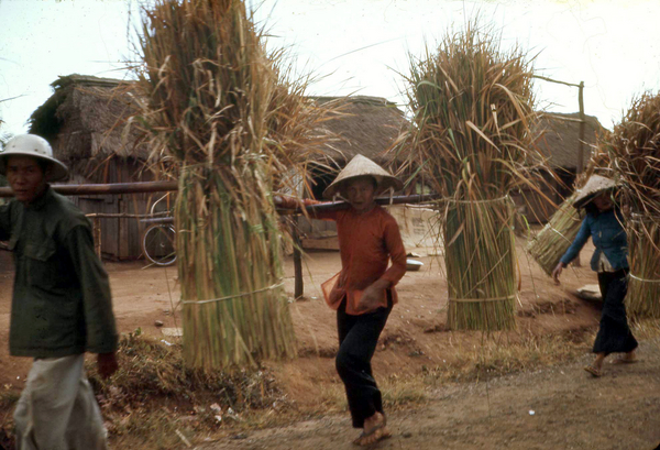 Harvest Time
Farming here was a little different than back in the States.
