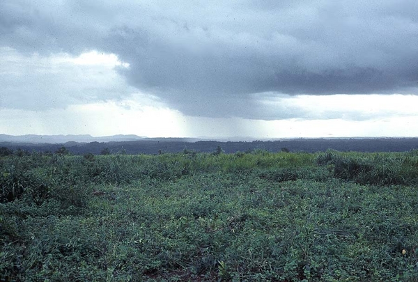 Rain in the distance
Another "landscape shot" that we all brought home.
