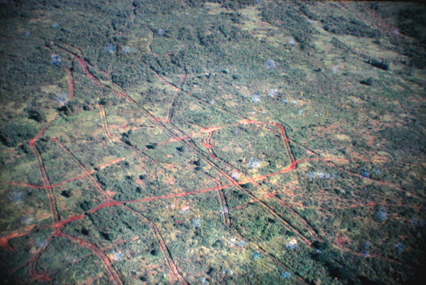 Crop squares?
Leave it to the Vietnamese to create crop squares out of crop circles.
