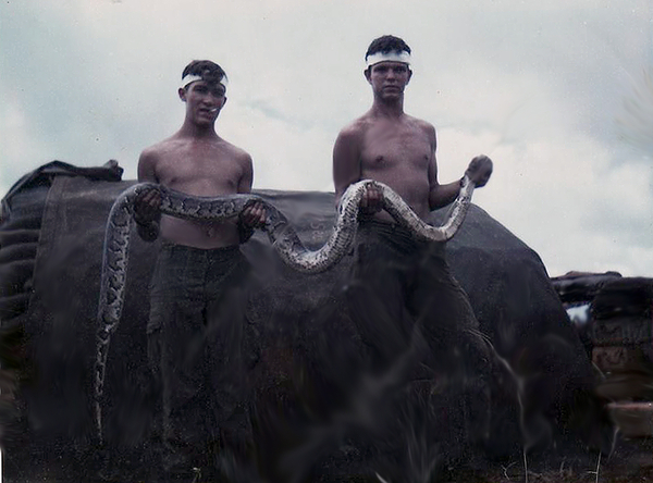 Evening Meal?
A snake killing on LZ Meredith.
