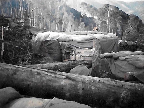 Large logs
Large logs were often cut to reinforce the bunker system.
