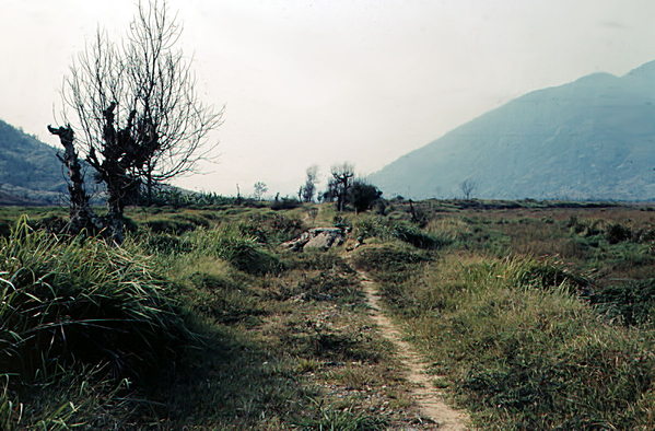 Obvious
This well-worn path has no cover or concealment.
