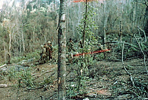 Grunts on the trail
Some areas of the jungle were thinner than others.
