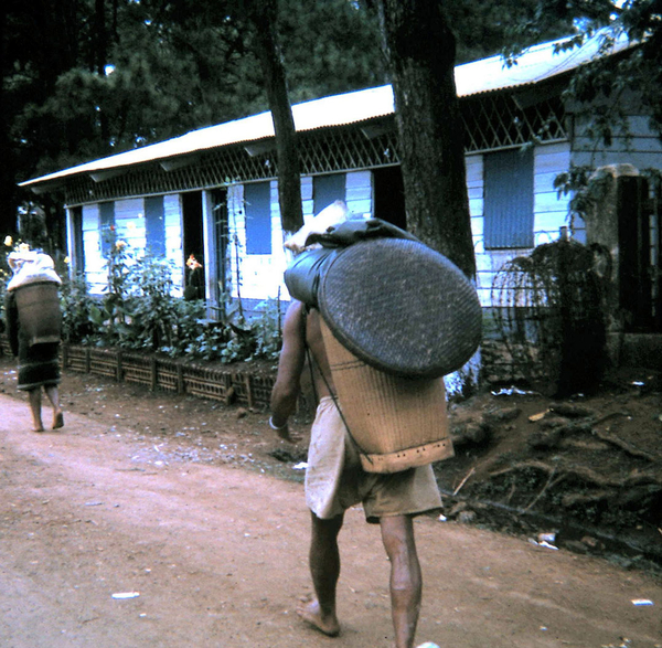 Pleiku series
Pleiku Montagnard:  Carrying his wares to sell at the market.

{Montagnards were indigenous to the mountainous areas of Vietnam; they were a very friendly people and somehow managed to stay out of the entanglements with the VC and NVA.  The Vietnamese people weren't so lucky.}
