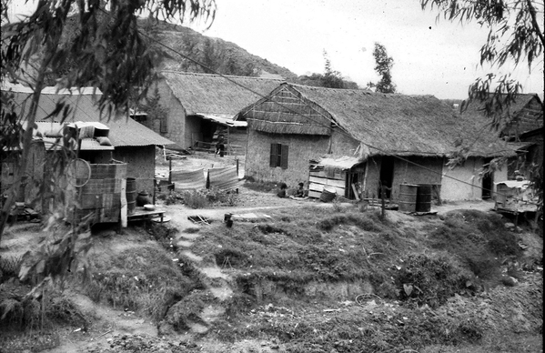 Arrival at LZ Montezuma
Typical Vietnamese village in the Duc Pho area.
