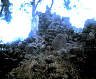 Pleiku_Catholic__Shrine.jpg