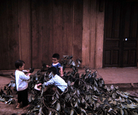 Pleiku_Children.JPG